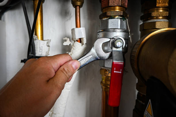 Best Sprinkler Systems  in Village Of The Branch, NY